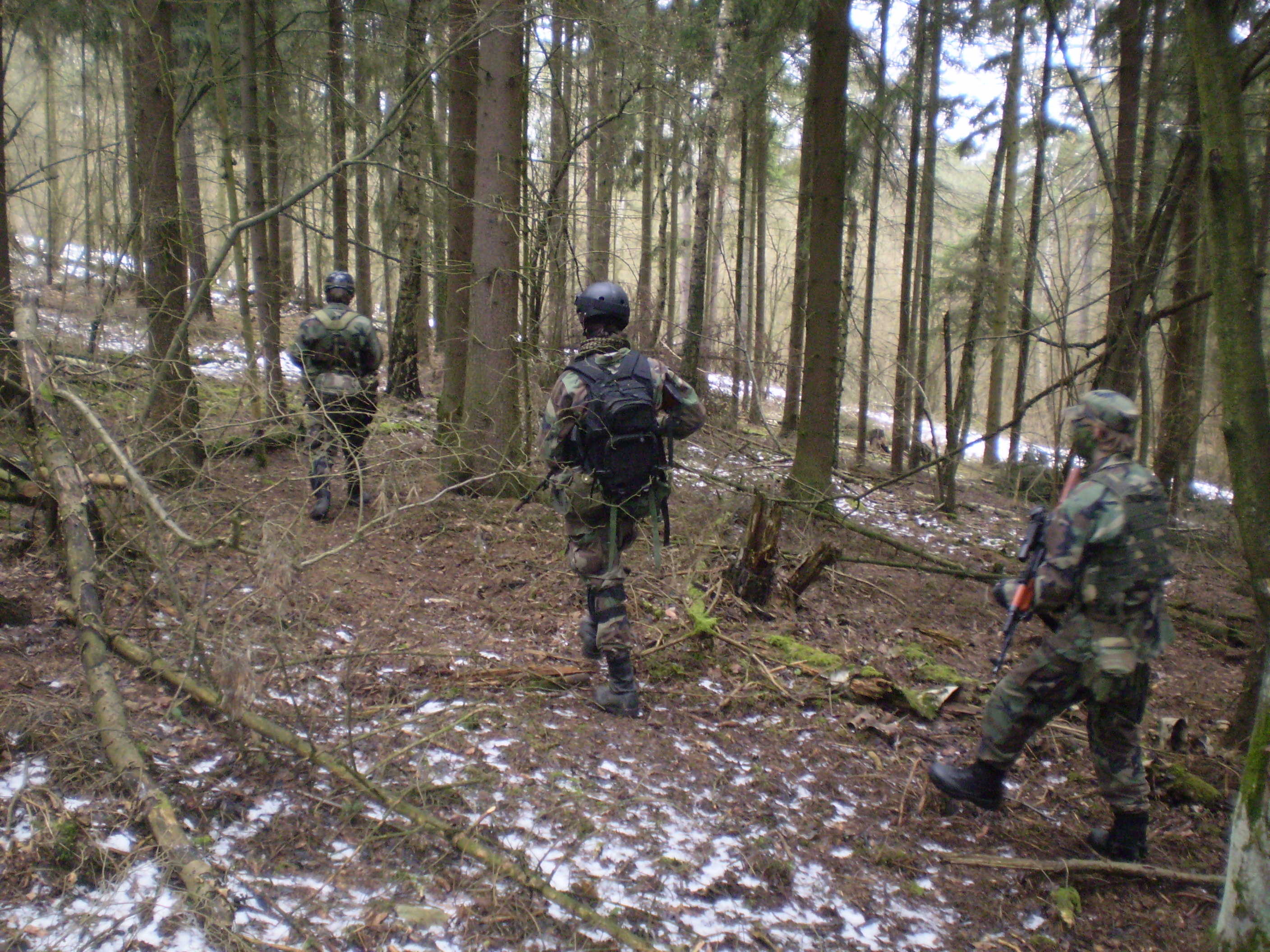 P1250031.JPG